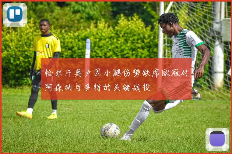 恰尔汗奥卢因小腿伤势缺席欧冠对阿森纳与多特的关键战役